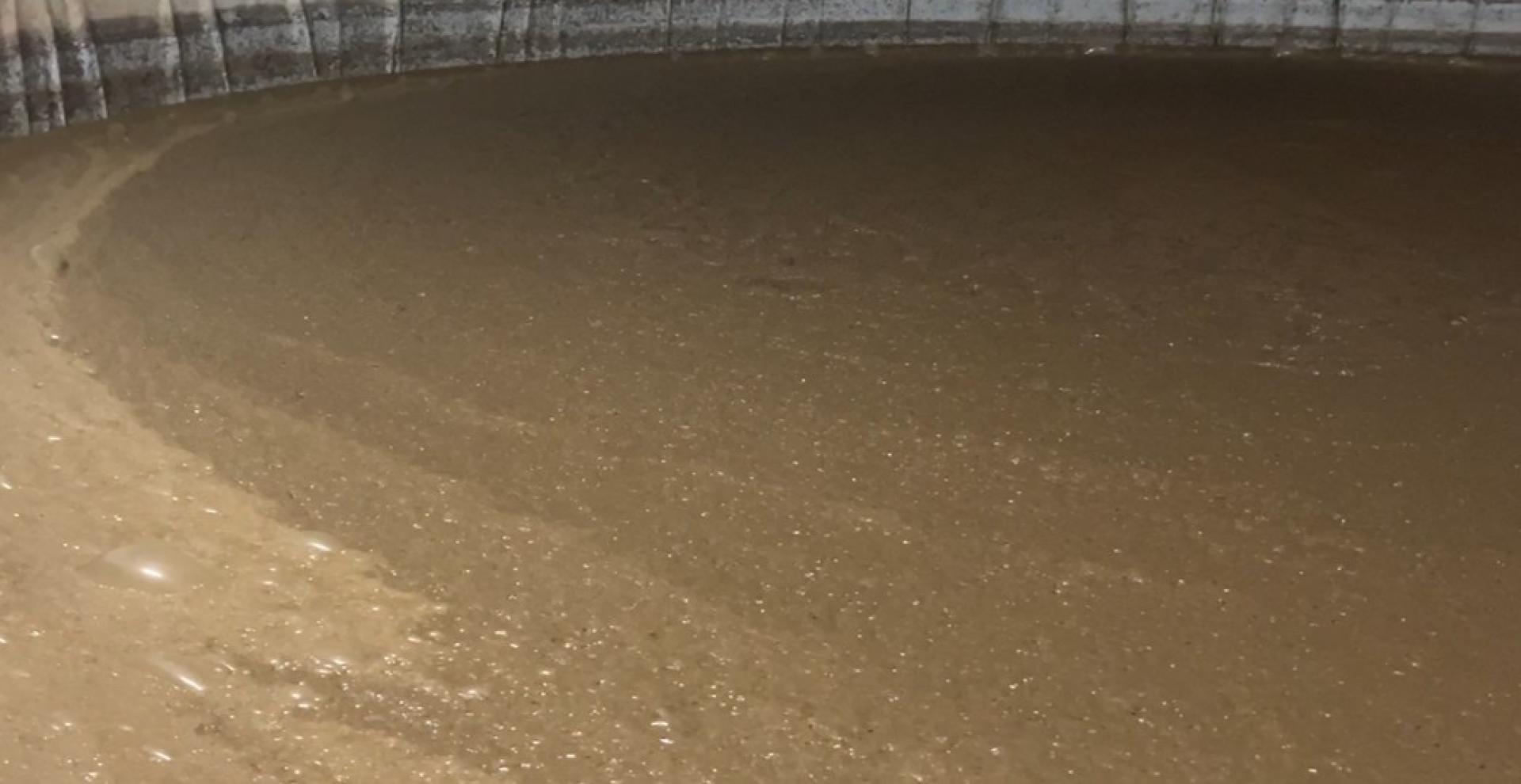 Biologisch aanzuren mest: kansrijk maar met belangrijke aandachtspunten